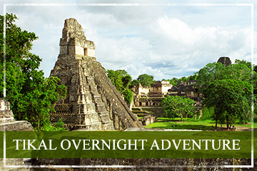 cat-packages-tikal-overnight